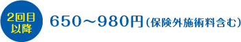 2回目以降 650~980円(保険外施術料含む)