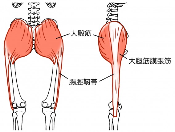 腸脛靭帯（ランナー膝）